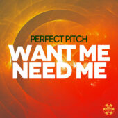 Perfect Pitch – Want Me Need Me