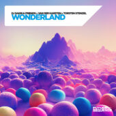 DJ Sakin & Friends, Van Der Karsten & Torsten Stenzel - Wonderland